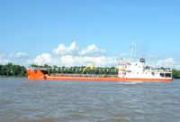 caena